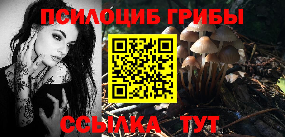 МЕФ кристаллы  Конопля  Вход с VPN  Лесосибирск  ЭКСТАЗИ  Гашиш  A-PVP СК  