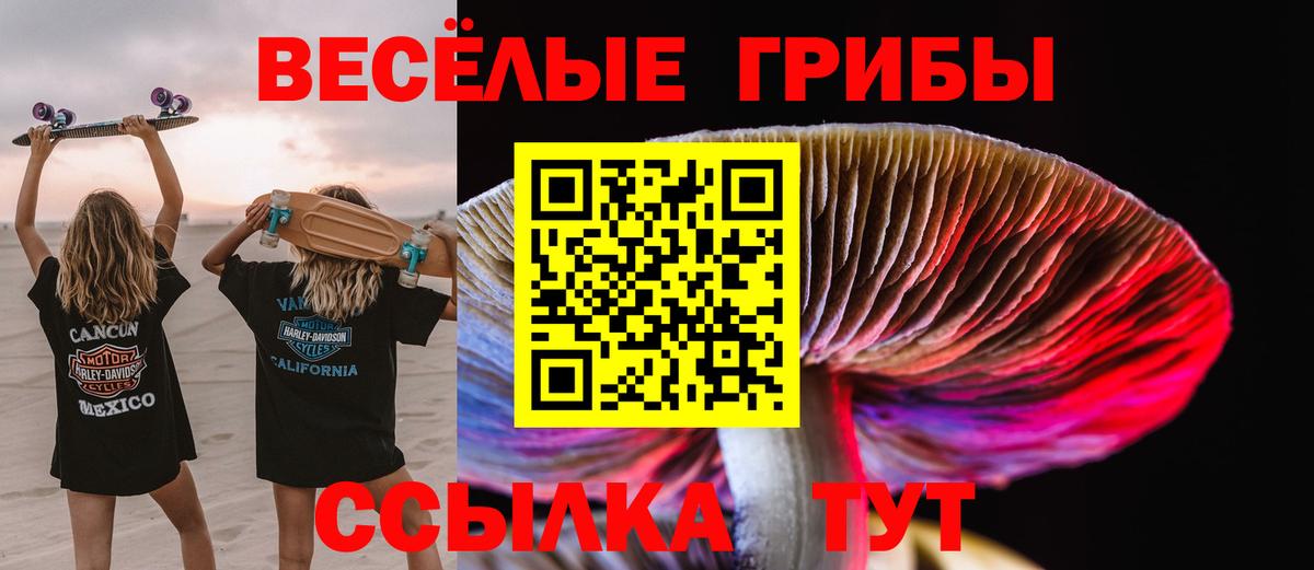 Псилоцибиновые грибы Cubensis  Галлюциногенные грибы Psilocybine cubensis  хочу   Вход с VPN  Лесосибирск 